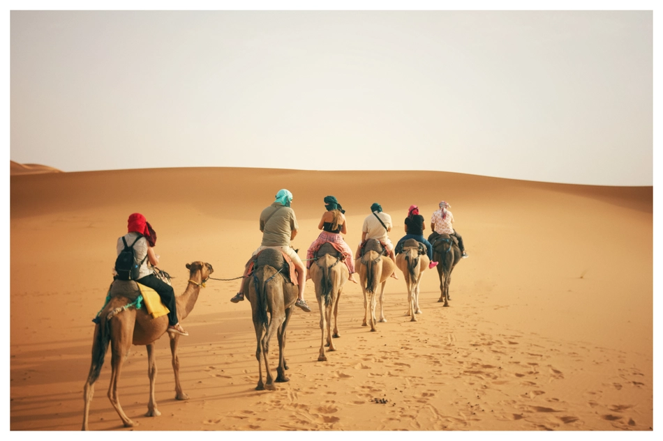 Camel trekking