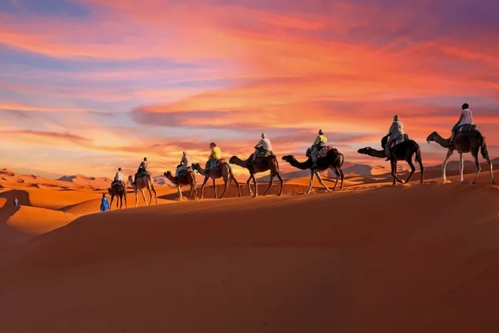 Camel trek sunset