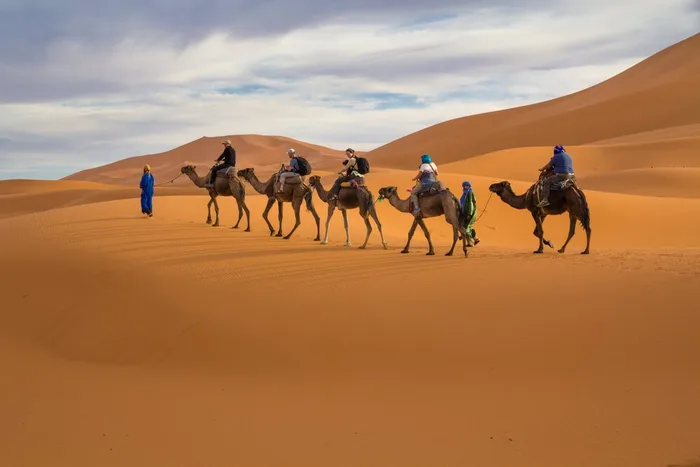 Camel trekking in Merzouga