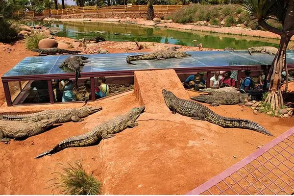 Croco Park in Agadir