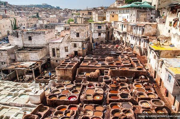 Traditional tanneries in Fes